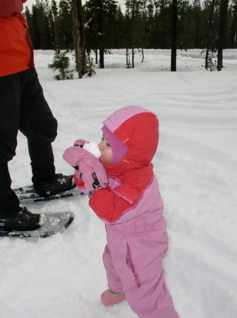 Sunriver Jan 06a 131 